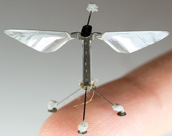 RoboBee Drone