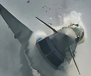 Typhoon Bird Strike