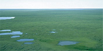 ANWR Area 1002