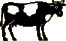 Moo