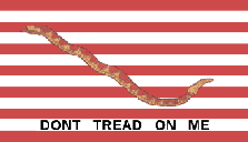 First Navy Jack