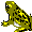 frog02trn.gif (272 bytes)